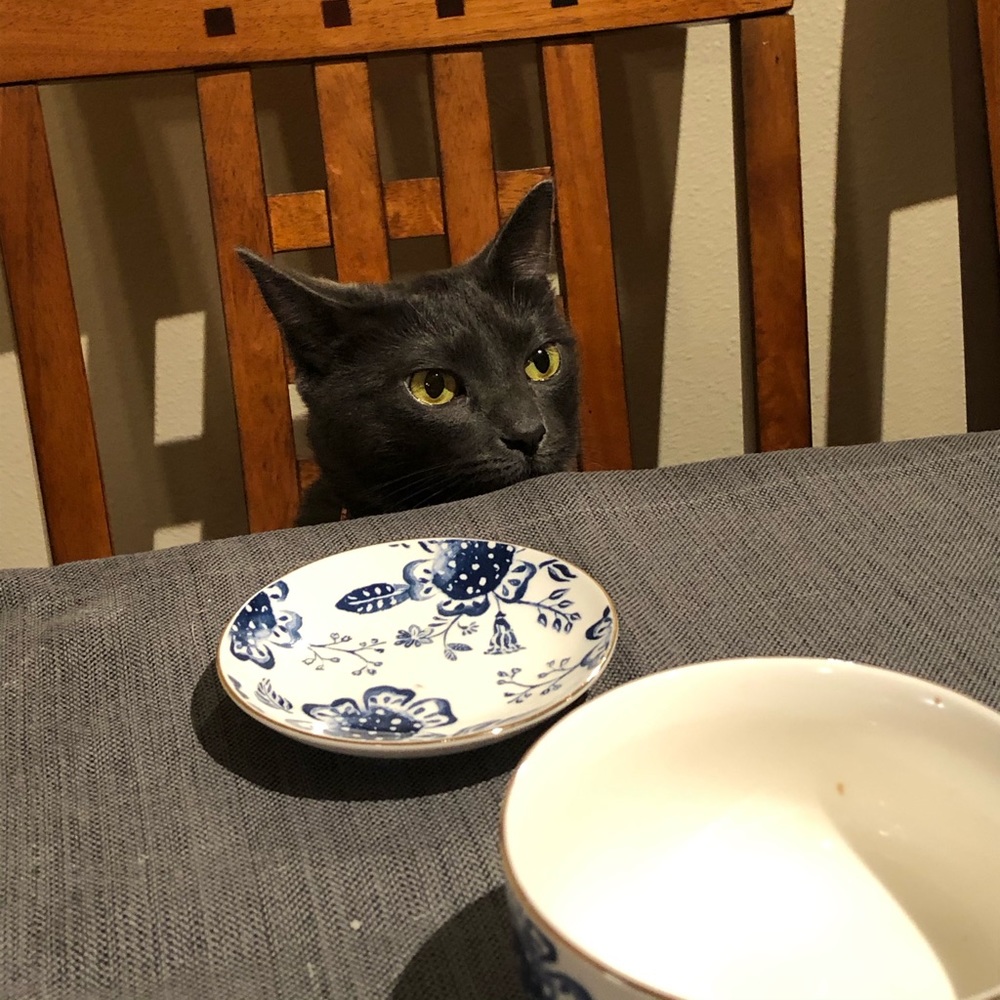 Thank you for the follows!!